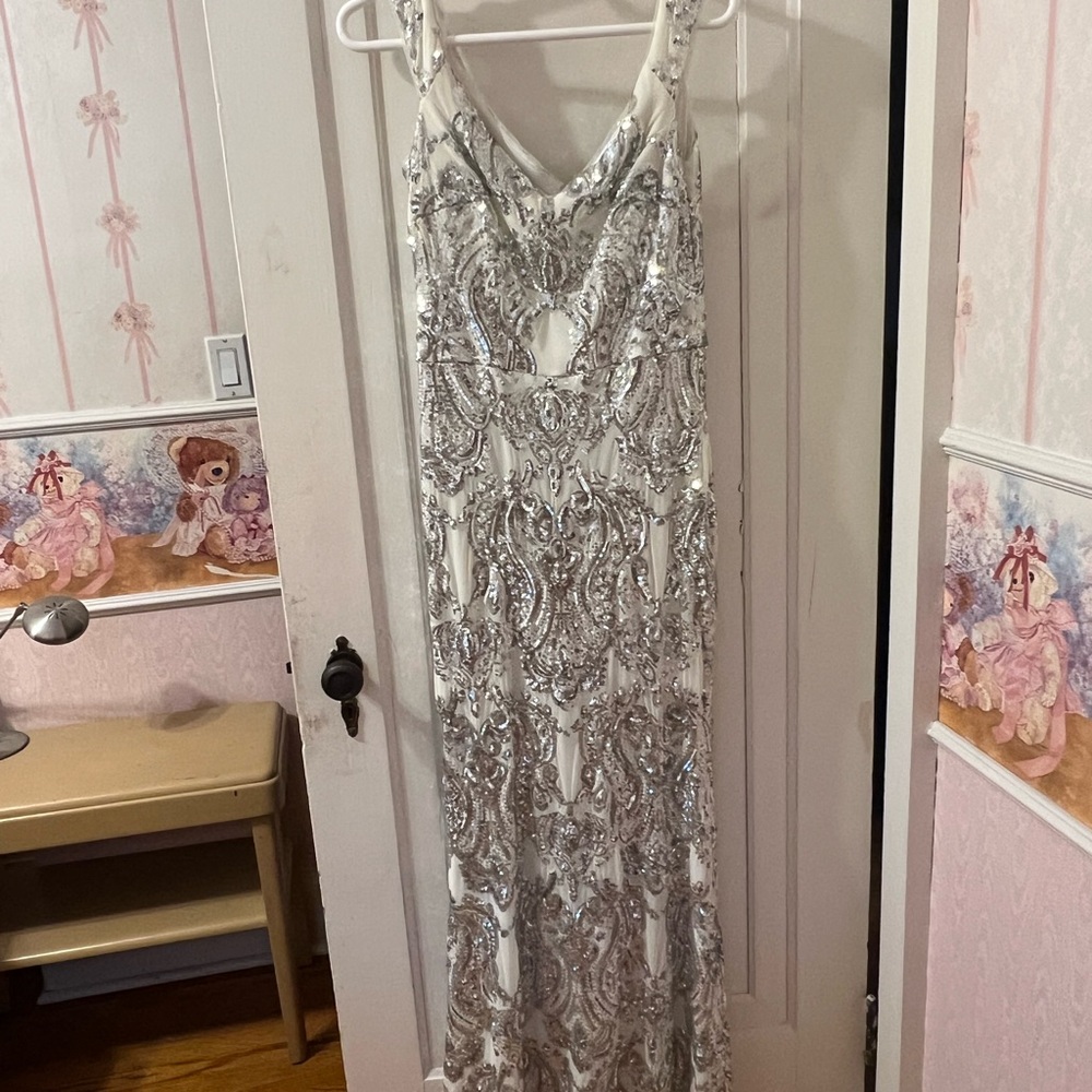 Elegant Long Silver and White Gown